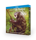 Earth sounds: 2024 2-Disc All RegionPlay 1080P Seal Box NEW Blu-ray
