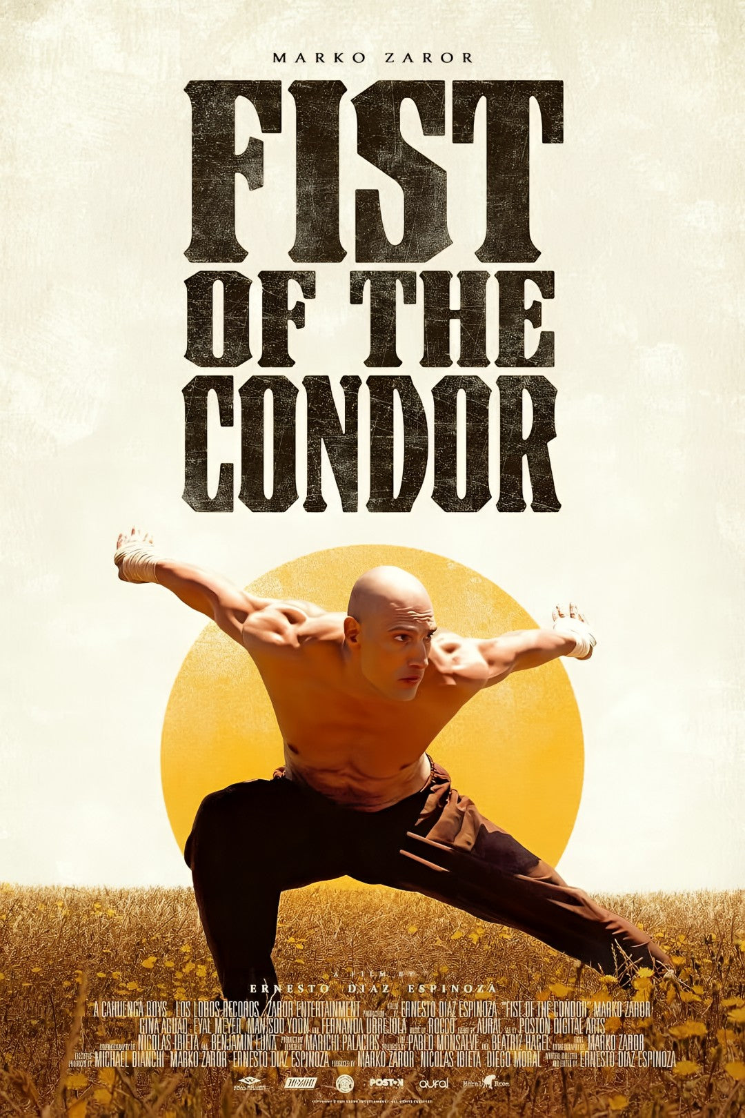 1-Disc The Fist of the Condor (2023) 1080P for Gift Movie All RegionPlay Seal Box Blu-ray