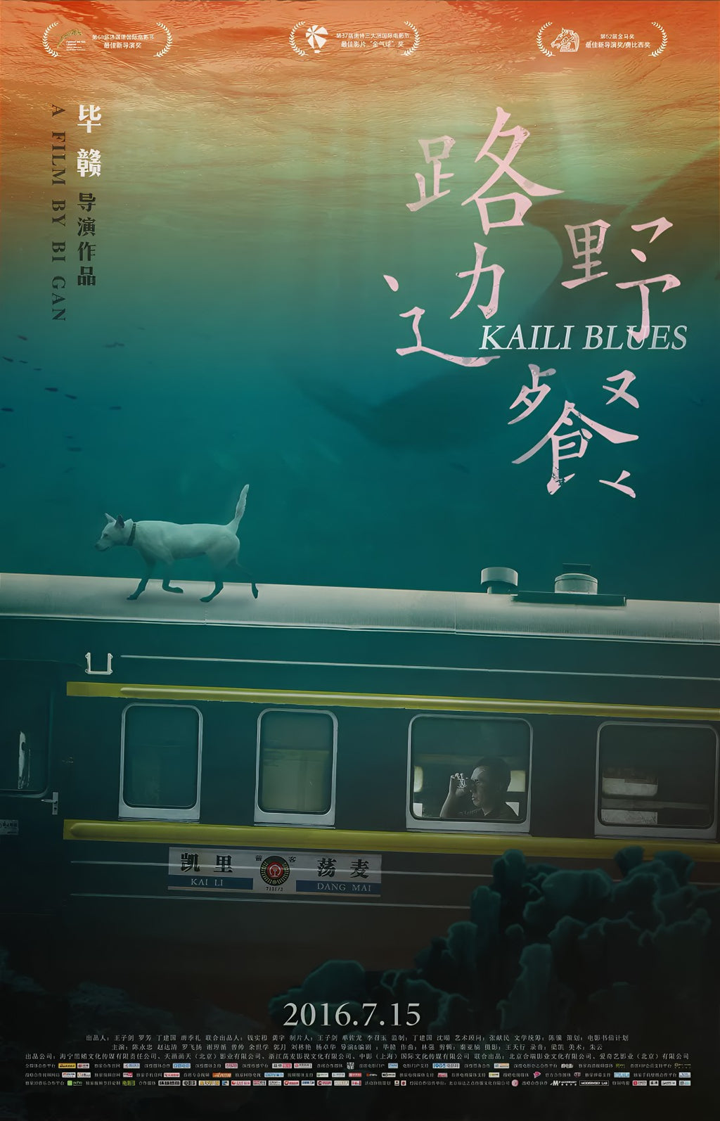 1-Disc Kaili Blues (2015) 1080P for Gift Movie All RegionPlay Seal Box Blu-ray