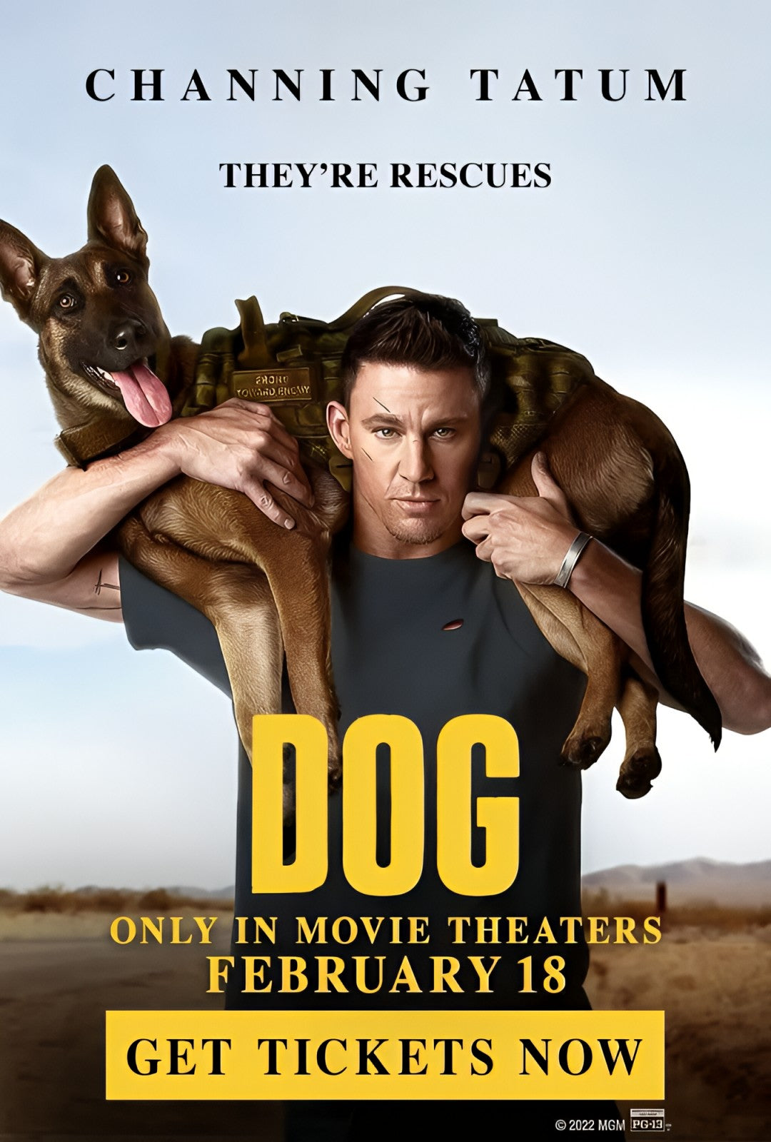 1-Disc Dog (2022) 1080P for Gift Movie All RegionPlay Seal Box Blu-ray