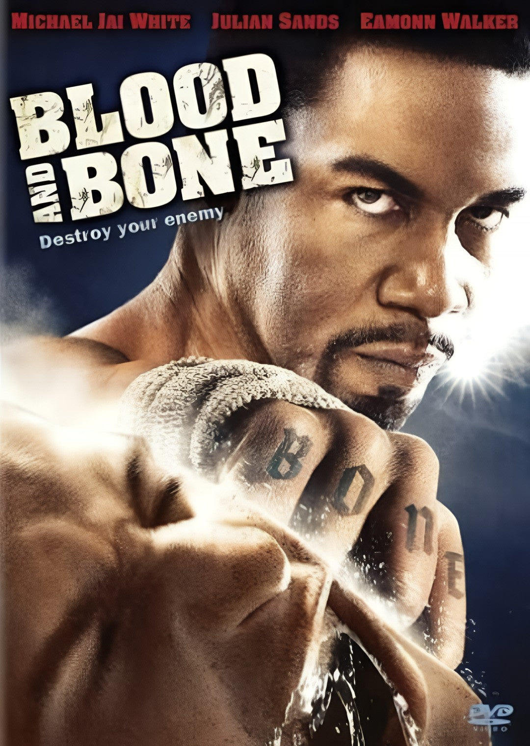 1-Disc Blood and Bone (2009) 1080P for Gift Movie All RegionPlay Seal Box Blu-ray