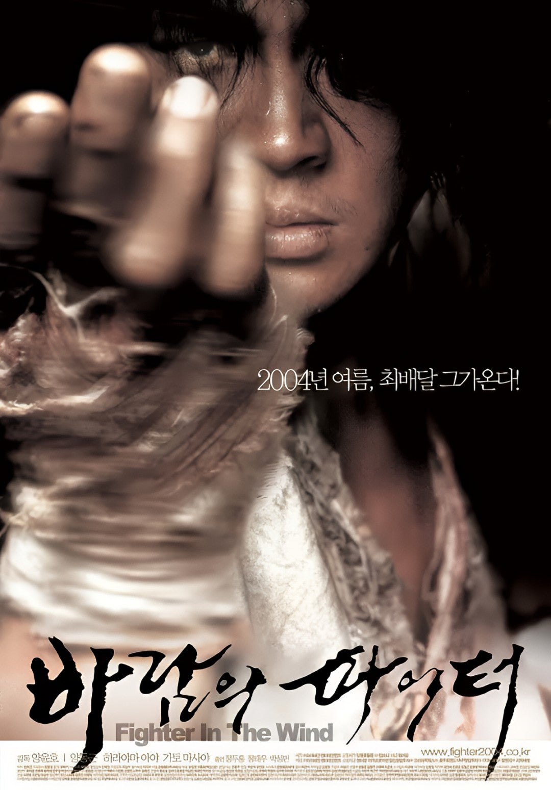 1-Disc Fighter In The Wind (2004) 1080P for Gift Movie All RegionPlay Seal Box Blu-ray