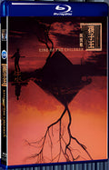 1987 King of the Children 1080P for Gift 1-Disc All RegionPlay Seal Box Blu-ray
