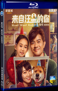 2024 Woof Woof Daddy Movie 1-Disc Box Set for Gift Collection Blu-ray