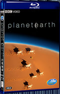 2006 Planet Earth 4-6 1080P for Gift 1-Disc All RegionPlay Seal Box Blu-ray