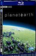 2006 Planet Earth 7-9 1080P for Gift 1-Disc All RegionPlay Seal Box Blu-ray