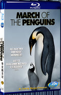 2005 March of the Penguins 1080P for Gift 1-Disc All RegionPlay Seal Box Blu-ray