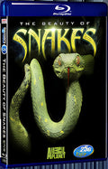 2008 The Beauty of Snakes 1080P for Gift 1-Disc All RegionPlay Seal Box Blu-ray