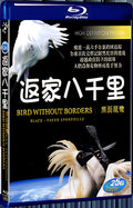 2009 Bird Without Boders-Black-faced Spoonbills 1080P for Gift 1-Disc All RegionPlay Seal Box Blu-ray