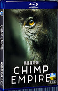 2023 Chimp Empire 1080P for Gift 2-Disc All RegionPlay Seal Box Blu-ray