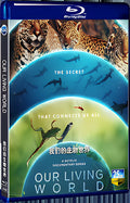2024 Our Living World 1080P for Gift 1-Disc All RegionPlay Seal Box Blu-ray