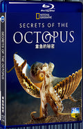 2024 Secrets of the Octopus 1080P for Gift 1-Disc All RegionPlay Seal Box Blu-ray