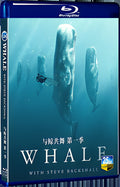 2023 Whale with Steve Backshall Season 1 (2023) 1080P for Gift 1-Disc All RegionPlay Seal Box Blu-ray