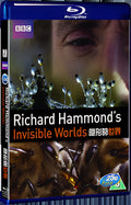 2010 BBC: The Invisible World 1080P for Gift 1-Disc All RegionPlay Seal Box Blu-ray