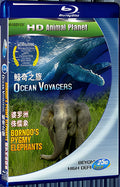 Documentary 2-in-1: Whale Adventure+Borneo Dwarf Elephant 1080P for Gift 1-Disc All RegionPlay Seal Box Blu-ray