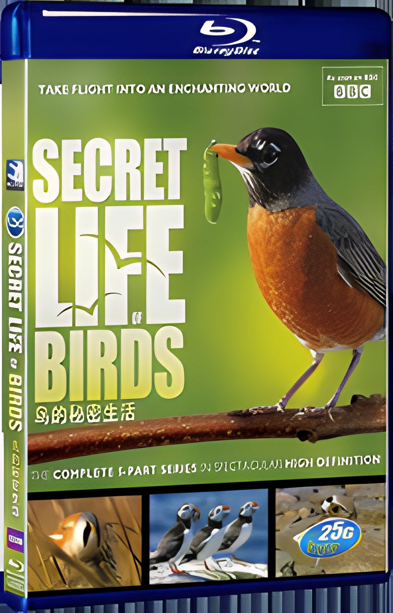 The Secret Life of Birds 1080P for Gift 1-Disc All RegionPlay Seal Box Blu-ray