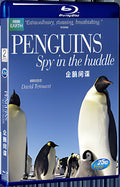 2013 PenguinsSpyintheHuddle（2013） 1080P for Gift 1-Disc All RegionPlay Seal Box Blu-ray