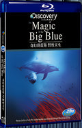2015 The Magic of the Big Blue（2015） 1080P for Gift 1-Disc All RegionPlay Seal Box Blu-ray