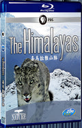 2011 PBS Nature - The Himalayas (2011) 1080P for Gift 1-Disc All RegionPlay Seal Box Blu-ray