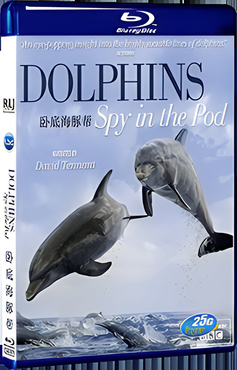 2014 Dolphins - Spy in the Pod (2014) 1080P for Gift 1-Disc All RegionPlay Seal Box Blu-ray