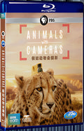 2018 Animals with Cameras(2018) 1080P for Gift 1-Disc All RegionPlay Seal Box Blu-ray