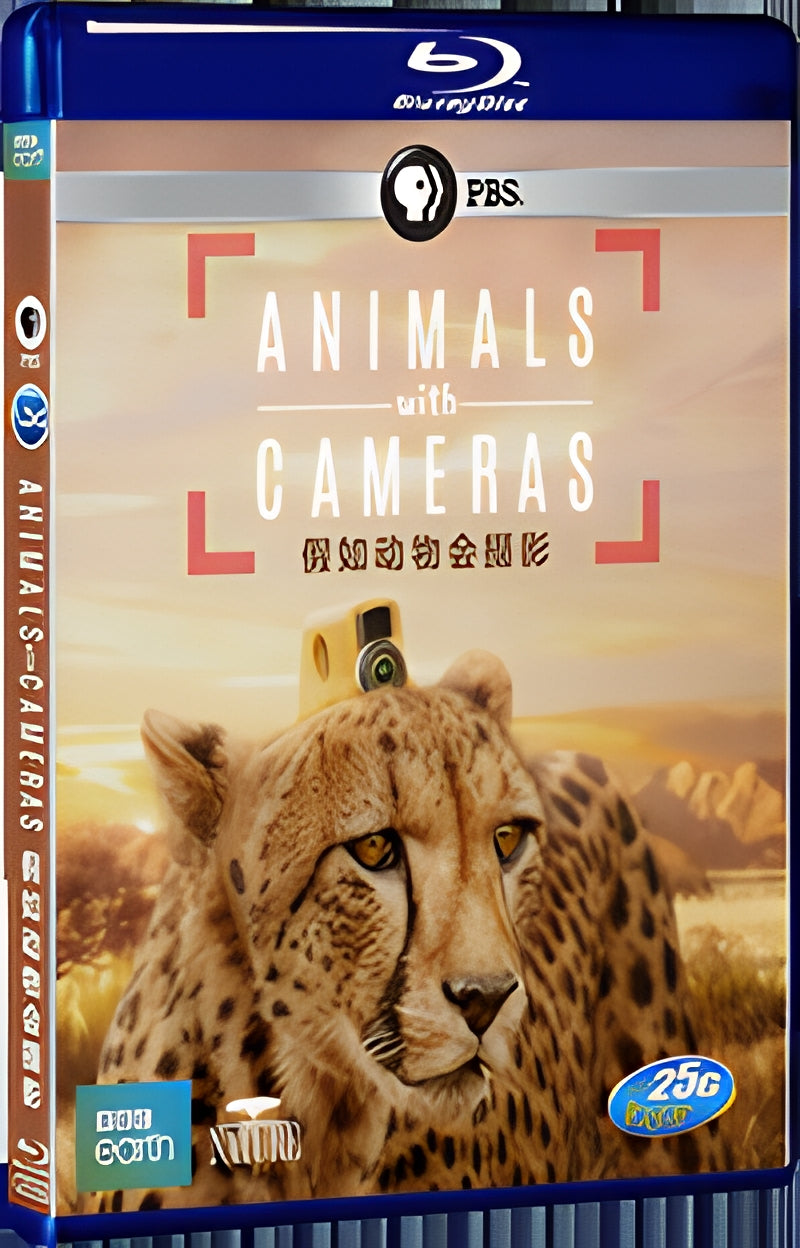 2018 Animals with Cameras(2018) 1080P for Gift 1-Disc All RegionPlay Seal Box Blu-ray