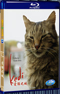 2016 Kedi(2016) 1080P for Gift 1-Disc All RegionPlay Seal Box Blu-ray