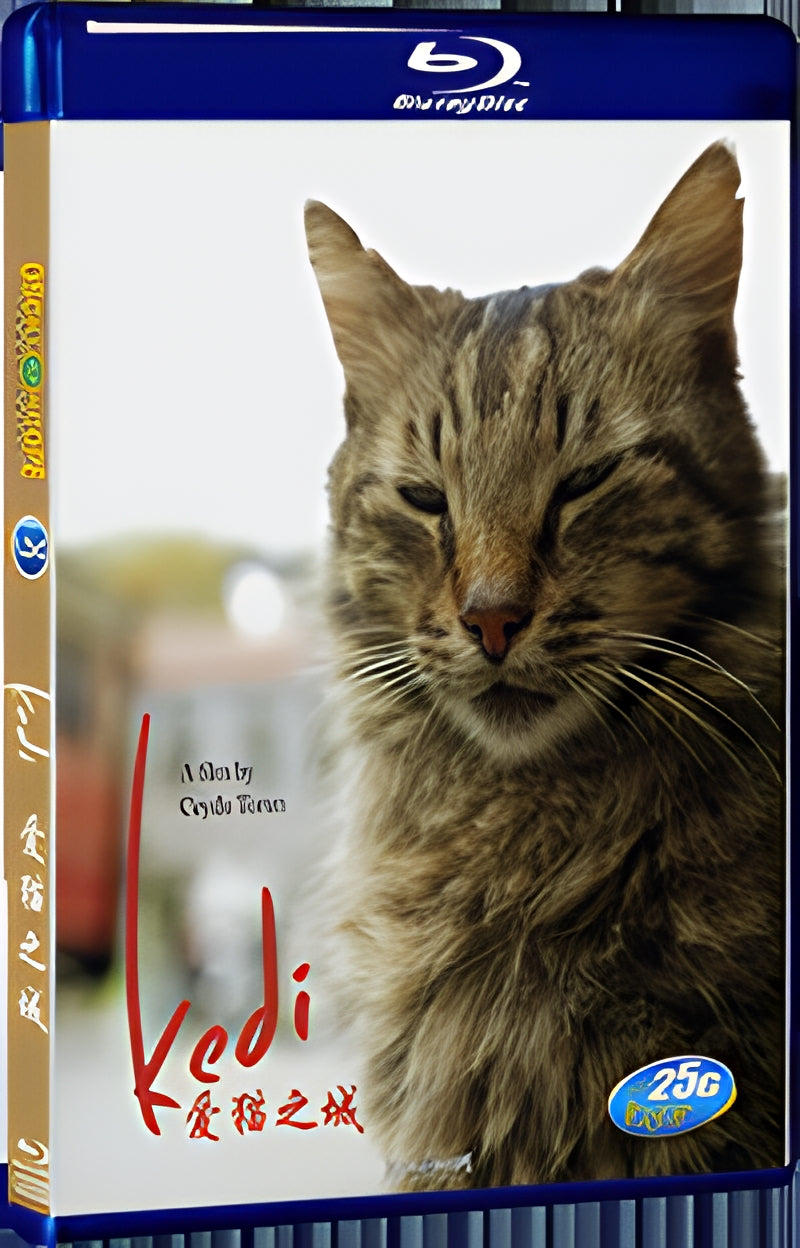 2016 Kedi(2016) 1080P for Gift 1-Disc All RegionPlay Seal Box Blu-ray