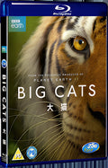 2017 Big Cat 1080P for Gift 1-Disc All RegionPlay Seal Box Blu-ray