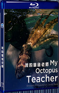 2020 My Octopus Teacher (2020) 1080P for Gift 1-Disc All RegionPlay Seal Box Blu-ray