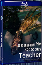 2020 My Octopus Teacher (2020) 1080P for Gift 1-Disc All RegionPlay Seal Box Blu-ray