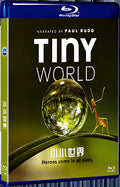2020 Tiny World (2020) 1080P for Gift 1-Disc All RegionPlay Seal Box Blu-ray