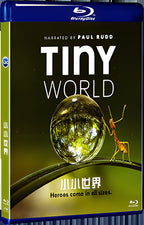 2020 Tiny World (2020) 1080P for Gift 1-Disc All RegionPlay Seal Box Blu-ray
