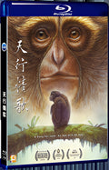 2020 A Song for Love – An Ape with an App（2020） 1080P for Gift 1-Disc All RegionPlay Seal Box Blu-ray