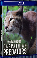 2020 CARPATHIAN PREDATORS (2020) 1080P for Gift 1-Disc All RegionPlay Seal Box Blu-ray