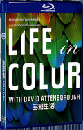 2021 Life In Colour (2021) 1080P for Gift 1-Disc All RegionPlay Seal Box Blu-ray