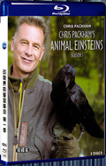 2021 Chris Packham's Animal Einsteins Season 1 (2021) 1080P for Gift 2-Disc All RegionPlay Seal Box Blu-ray