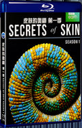 2019 Secrets of Skin Season 1 (2019) 1080P for Gift 1-Disc All RegionPlay Seal Box Blu-ray