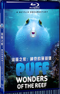 2021 Microworlds: Reef (2021) 1080P for Gift 1-Disc All RegionPlay Seal Box Blu-ray