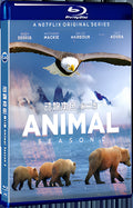 2022 Animal Season 2 (2022) 1080P for Gift 1-Disc All RegionPlay Seal Box Blu-ray
