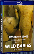 2022 Wild Babies Season 1 (2022) 1080P for Gift 1-Disc All RegionPlay Seal Box Blu-ray