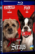 2023 Strays Movie 1-Disc Box Set for Gift Collection Blu-ray