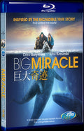 2012 Big Miracle Movie 1-Disc Box Set for Gift Collection Blu-ray