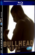 2011 Bullhead/Rundskop Movie 1-Disc Box Set for Gift Collection Blu-ray