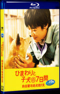 2013 Himawari to koinu no nanokakan 1080P for Gift 1-Disc All RegionPlay Seal Box Blu-ray