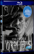 Orpheus (1950) Movie 1-Disc Box Set for Gift Collection Blu-ray