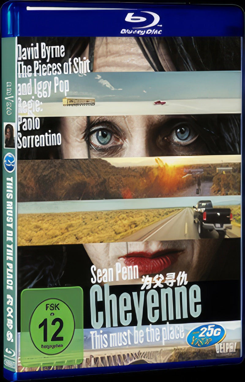 This Must Be the Place (2011) Movie 1-Disc Box Set for Gift Collection Blu-ray
