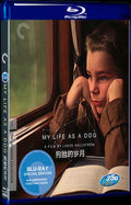 Mitt liv som hund (1985) Movie 1-Disc Box Set for Gift Collection Blu-ray