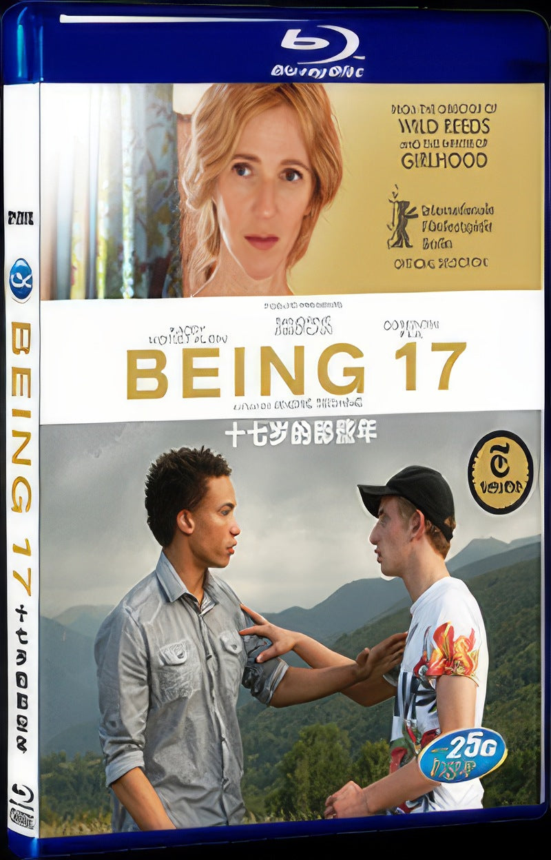 Quand on a 17 ans (2016) Movie 1-Disc Box Set for Gift Collection Blu-ray