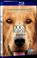 A Dogs Purpose (2017) Movie 1-Disc Box Set for Gift Collection Blu-ray